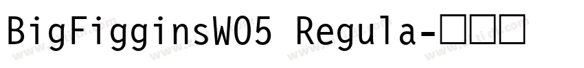 BigFigginsW05 Regula字体转换